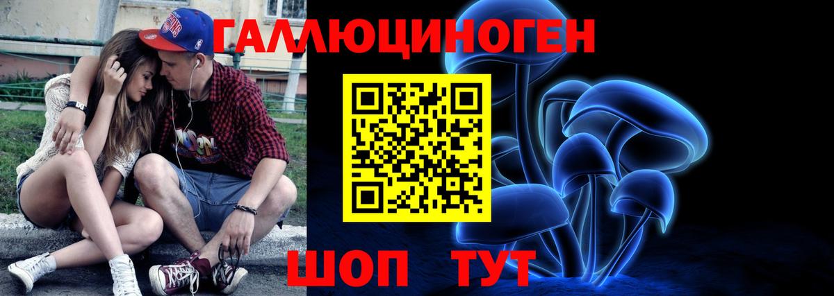 Кунгур  Галлюциногенные грибы Cubensis  Вход с VPN  Псилоцибиновые грибы мицелий 